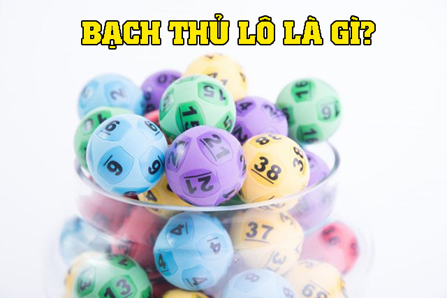 bạch thủ lô là gì?