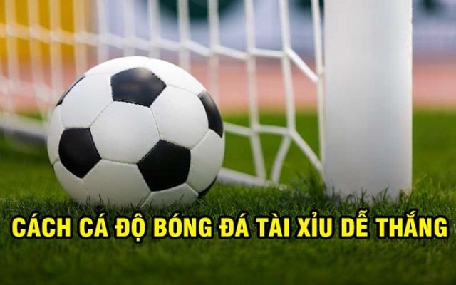 Nắm rõ cách tham gia kèo Tài Xỉu sẽ dễ dàng mang lại chiến thắng Nắm rõ cách tham gia kèo Tài Xỉu sẽ dễ dàng mang lại chiến thắng