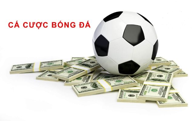 Có rất nhiều nhà cái cá độ bóng đá uy tín hiện nay Có rất nhiều nhà cái cá độ bóng đá uy tín hiện nay